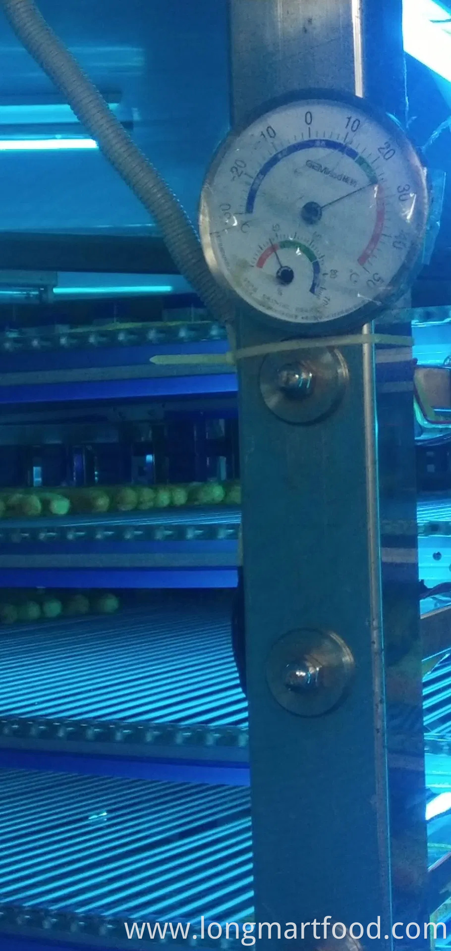 Arabic Halal Ginger Flavor Ginger Honey Tea